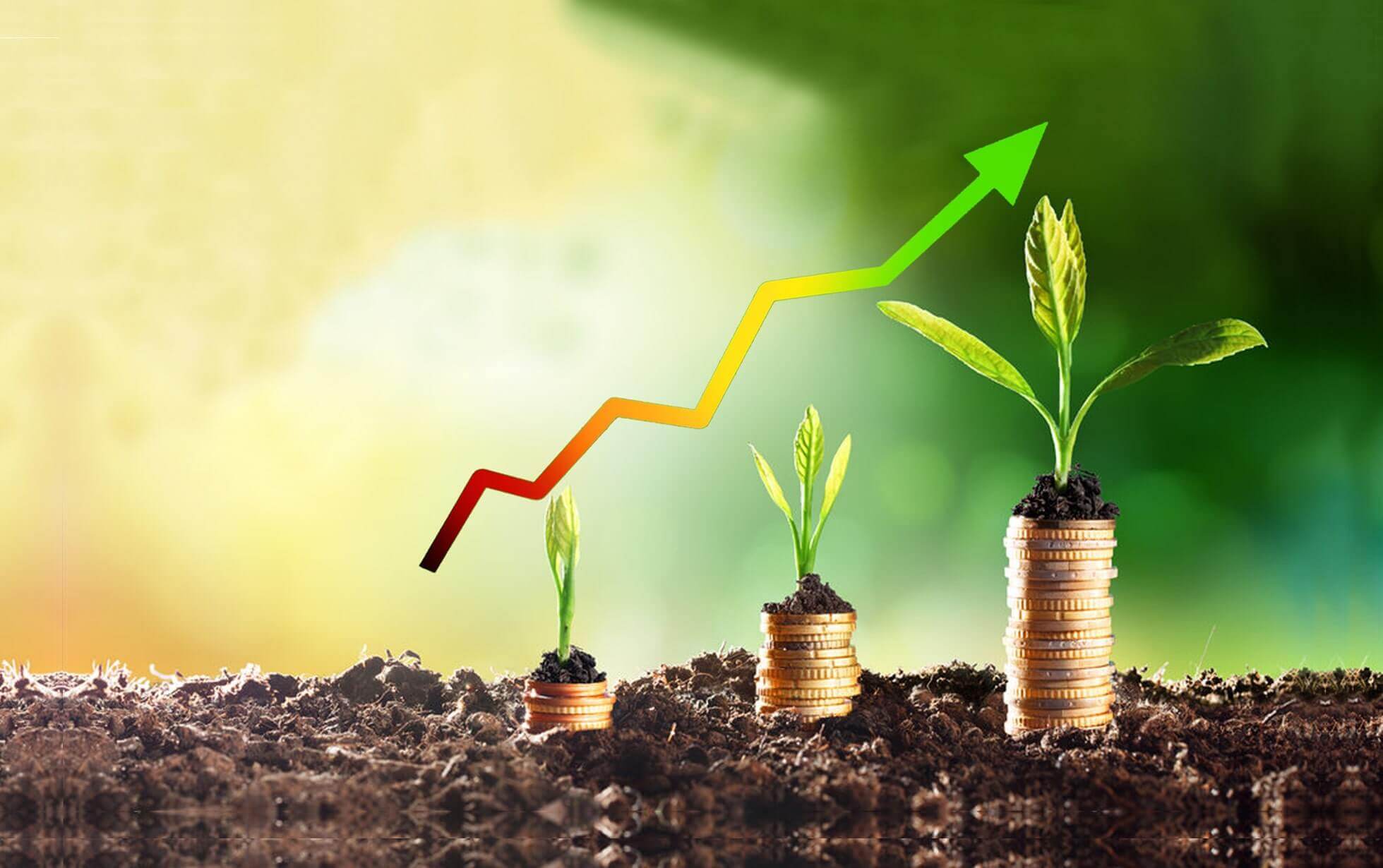 Góp phần phát triển xã hội thông qua những sáng tạo và đổi mới giá trị