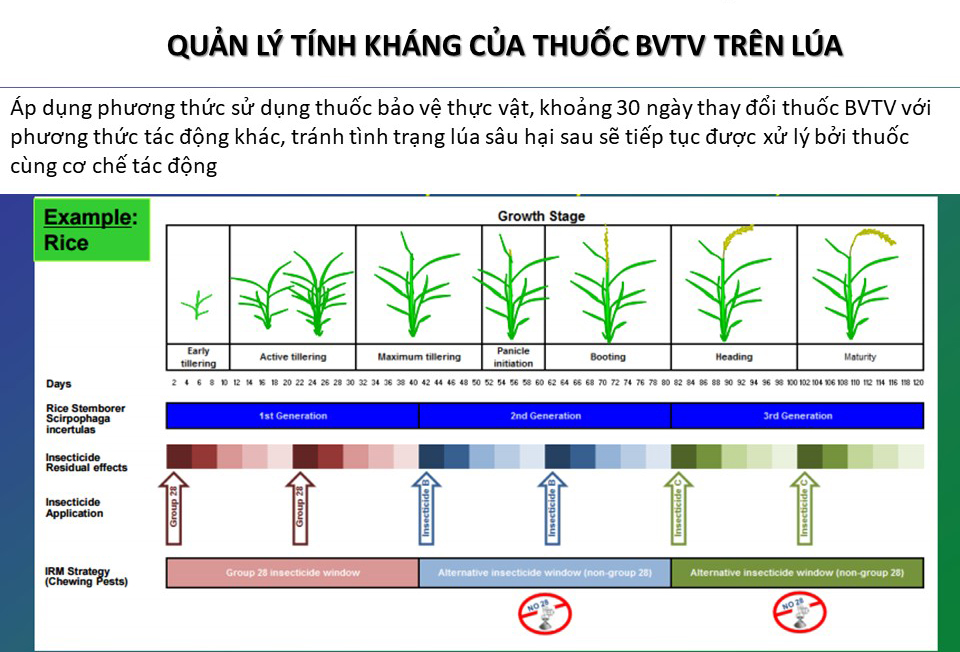 su dung thuoc an toan 5